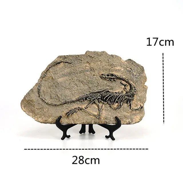 Creative Dinosaur Fossil Resin Craft Decoration Retro Animal Statue Miniature Indoor Living Room Decoration Souvenir Home Gift - AZ Games Co.