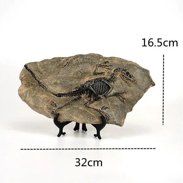 Creative Dinosaur Fossil Resin Craft Decoration Retro Animal Statue Miniature Indoor Living Room Decoration Souvenir Home Gift - AZ Games Co.